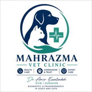 دکتر امیر عزت‌زاده | دامپزشک، جراح و متخصص سونوگرافی حیوانات در استانبول
