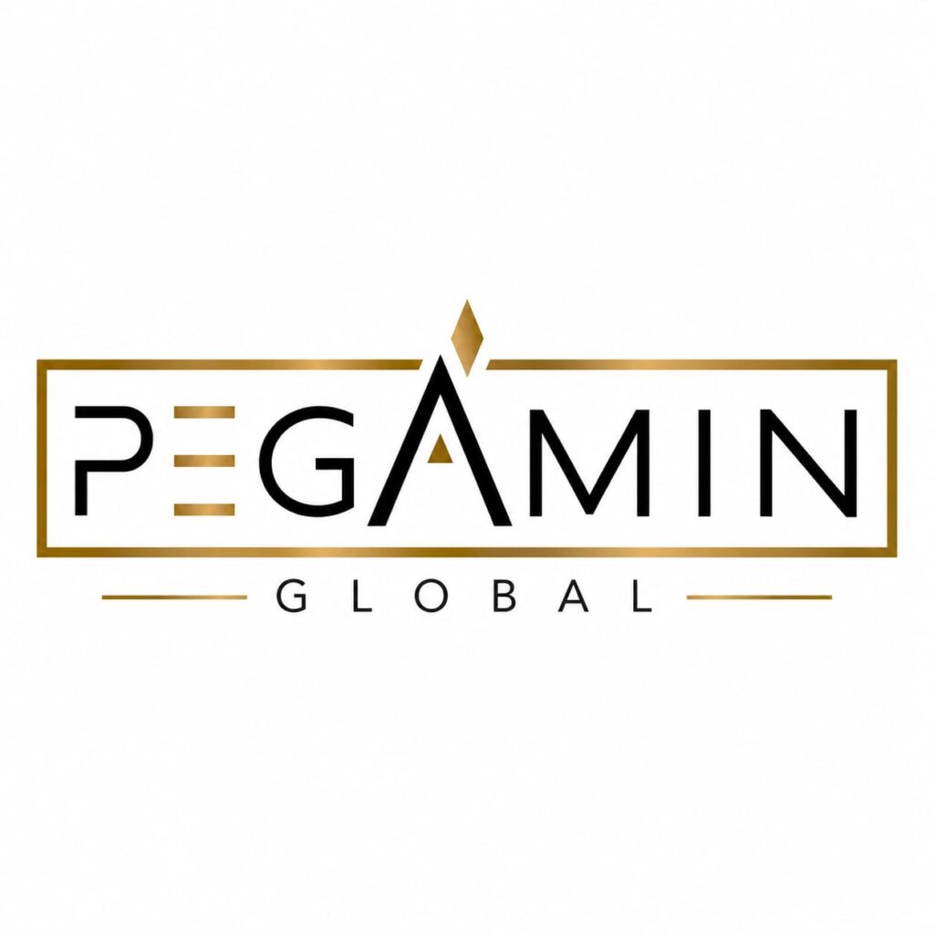 خدمات اقامت، افتتاح حساب، اجاره خودرو و خانه در استانبول | Pegamin Global