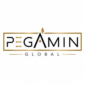 خدمات اقامت، افتتاح حساب، اجاره خودرو و خانه در استانبول | Pegamin Global